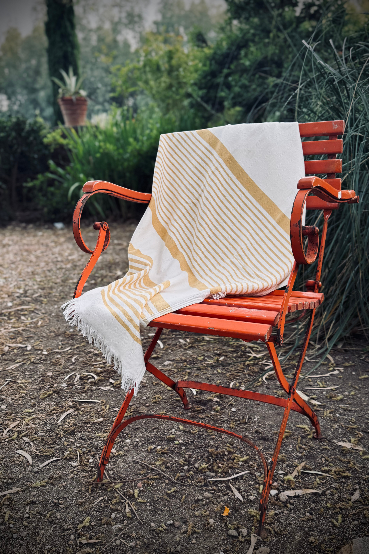 TELO CAPRERA: In Cotone Con Bande Oro Terra