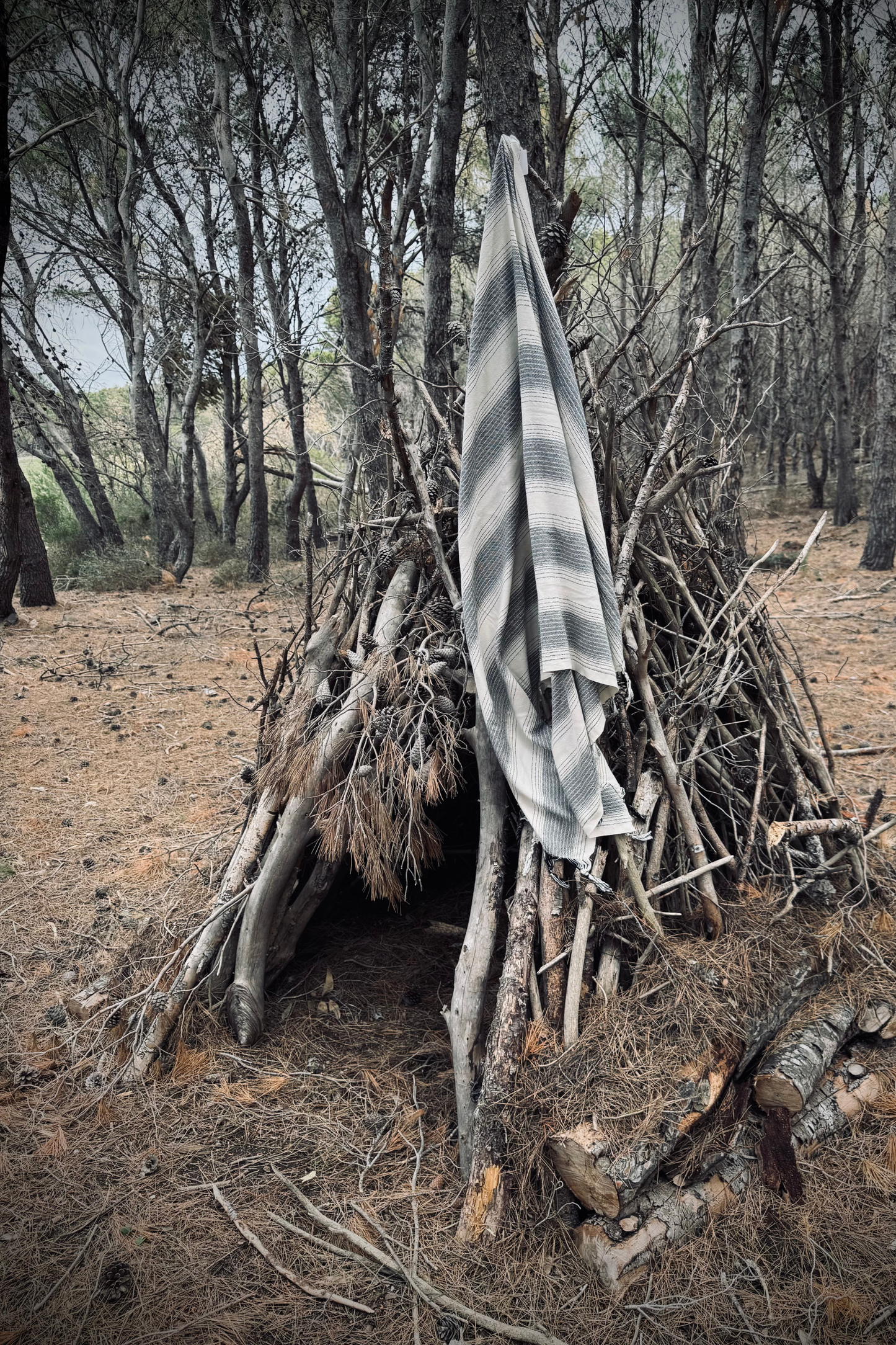 TELU BISACCIA: In Cotone Con Righe Nere e Sfumature Antracite